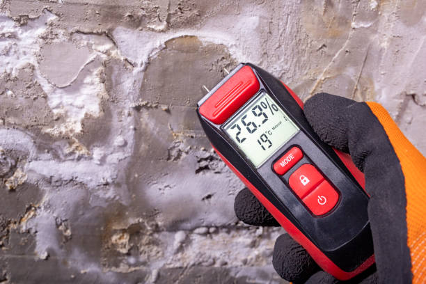 Crawl Space Mold Removal in Lindsay, CA